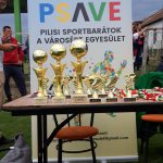 2019_PSAVE